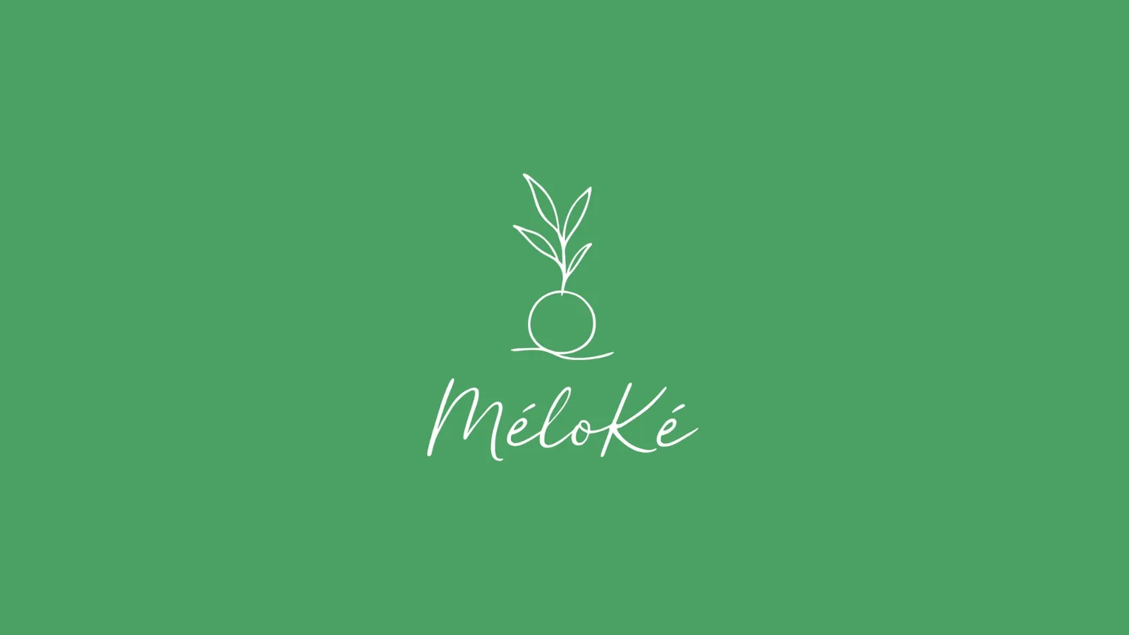 Logo Méloké, kokédamas faits main