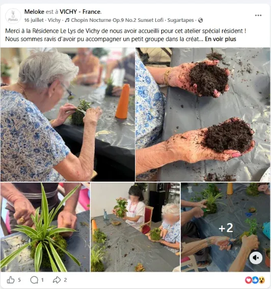 Publication 3 de Méloké sur les réseaux sociaux